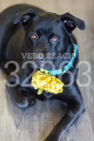 050518_BONZO SAMMIE_GR-28