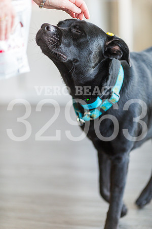 050518_BONZO SAMMIE_GR-35