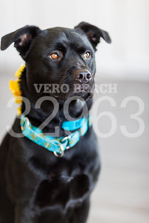 050518_BONZO SAMMIE_GR-23
