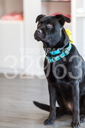 050518_BONZO SAMMIE_GR-24