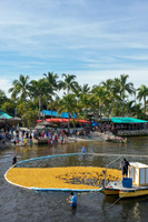 Duck Derby
